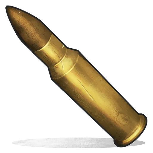 Патроны 5.56